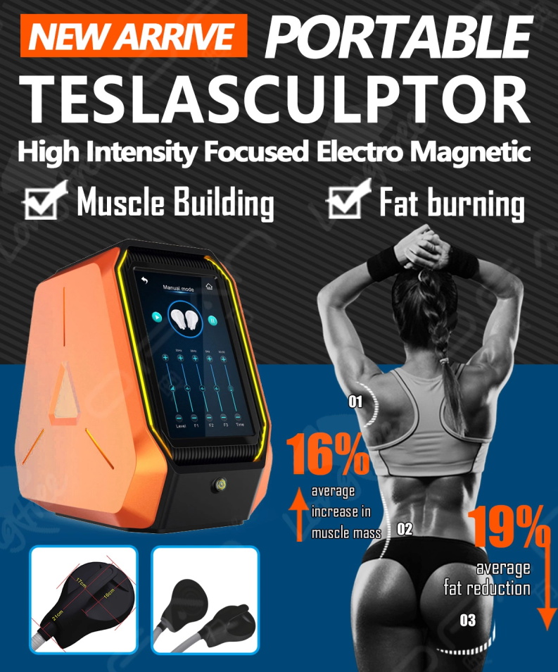 Portable Teslasculptor